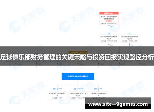 足球俱乐部财务管理的关键策略与投资回报实现路径分析