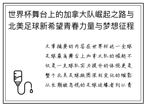 世界杯舞台上的加拿大队崛起之路与北美足球新希望青春力量与梦想征程
