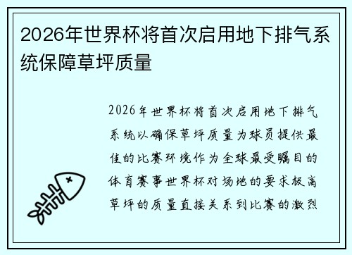 2026年世界杯将首次启用地下排气系统保障草坪质量