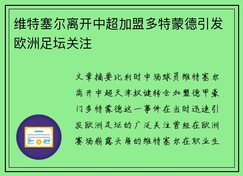 维特塞尔离开中超加盟多特蒙德引发欧洲足坛关注 维特塞尔离开中超加盟多特蒙德引发欧洲足坛关注